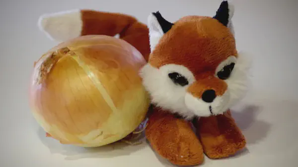 我的 Firefox 自定义手记 - User.js 篇[1]